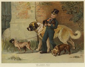 Les animaux de compagnie de ma dame